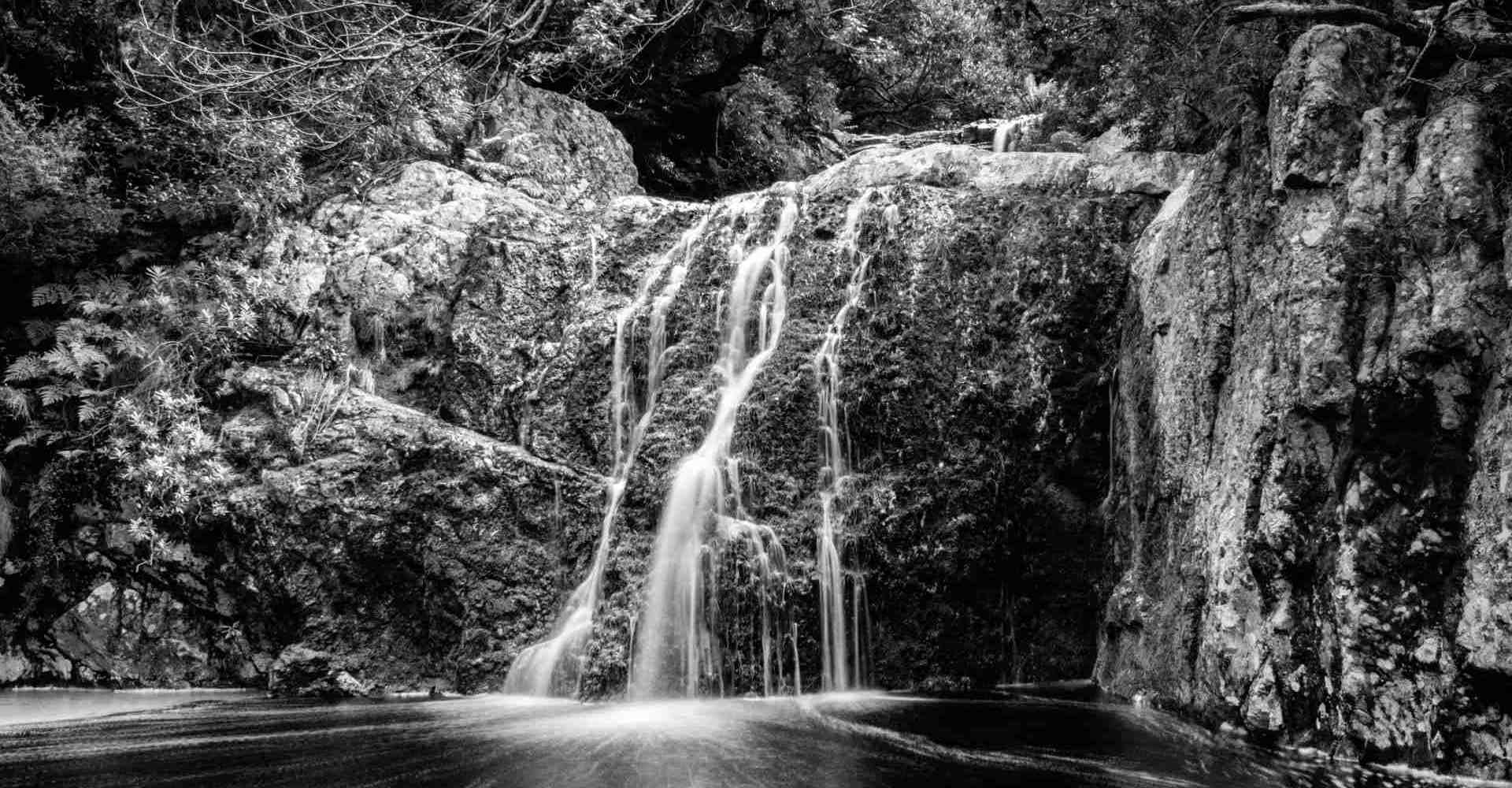 How Does Sunscreen Affect Freshwater Ecosystems?